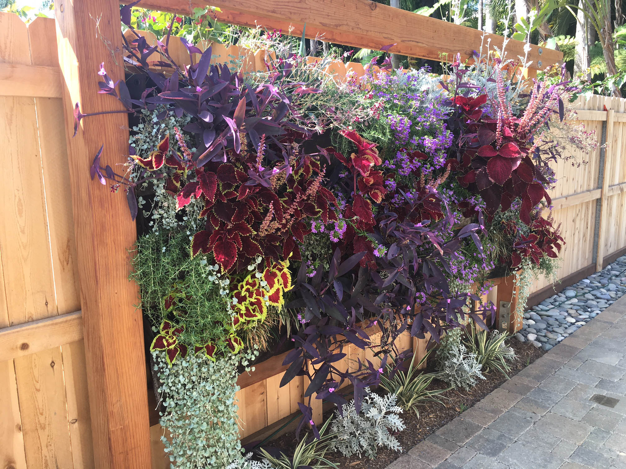 Image showcasing Create Your Own Vertical Garden: Step-by-Step Guide to Building a ...